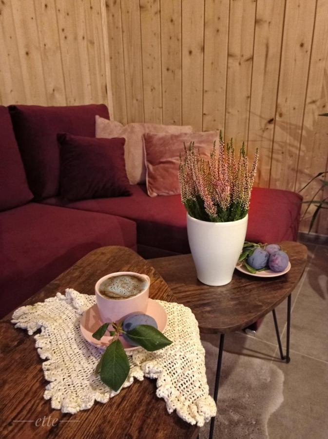 Kwitnace Jablonie. Caloroczne Wypoczynkowe *