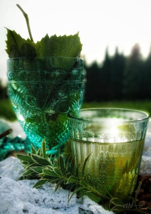 Kwitnace Jablonie. Caloroczne Wypoczynkowe *